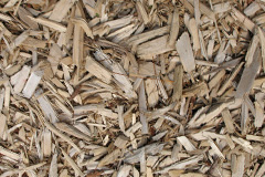 biomass boilers Garvaghy